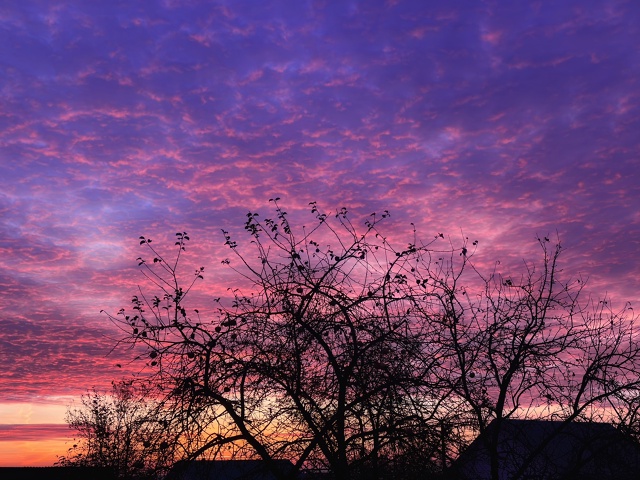 Доброго октябрьского утречка❤️🔥
