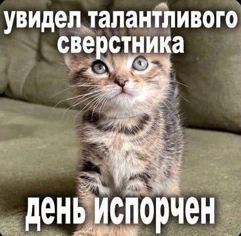 Утренняя подборочка