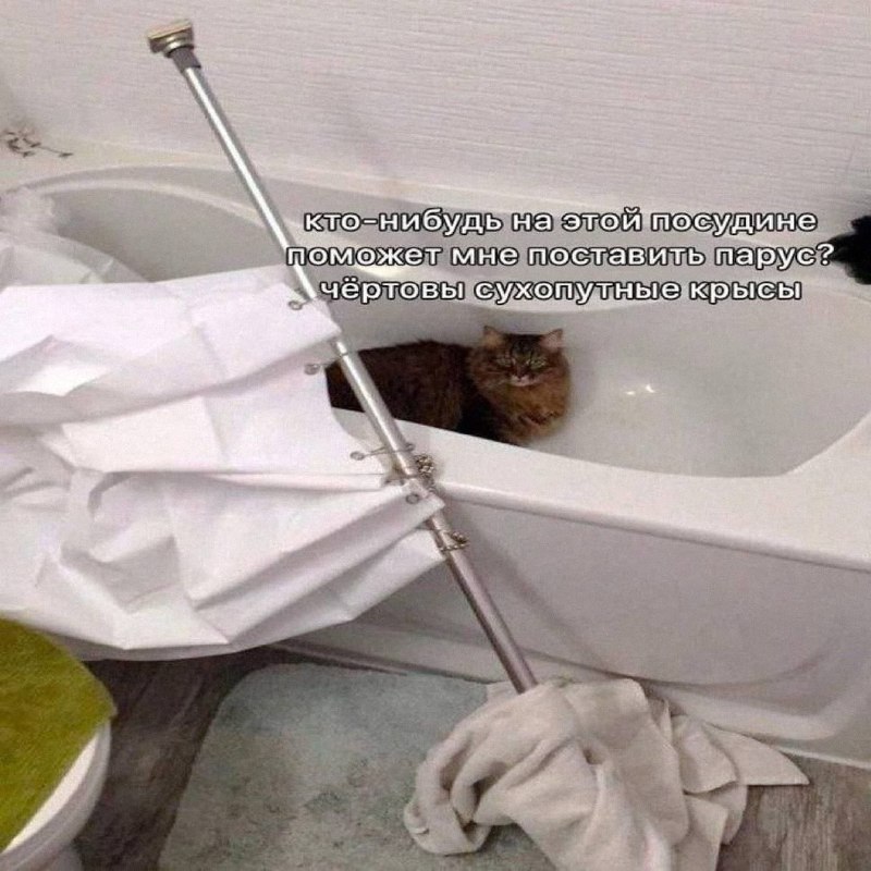 Утренняя подборочка