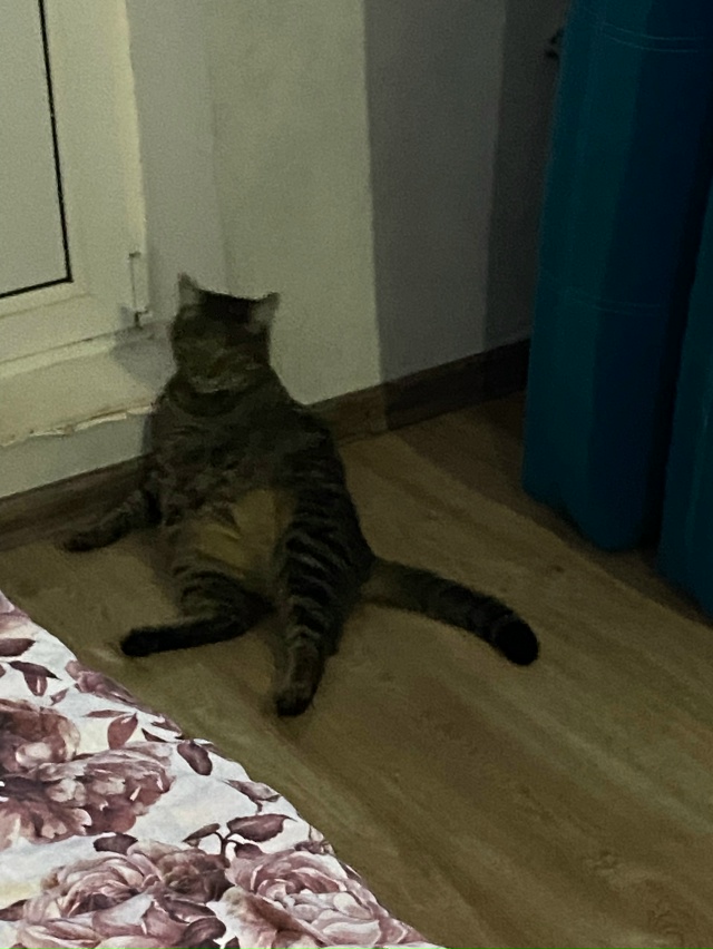 Наша ЛЮБОВЬ ЛЮБОВНАЯ🥰😻😽