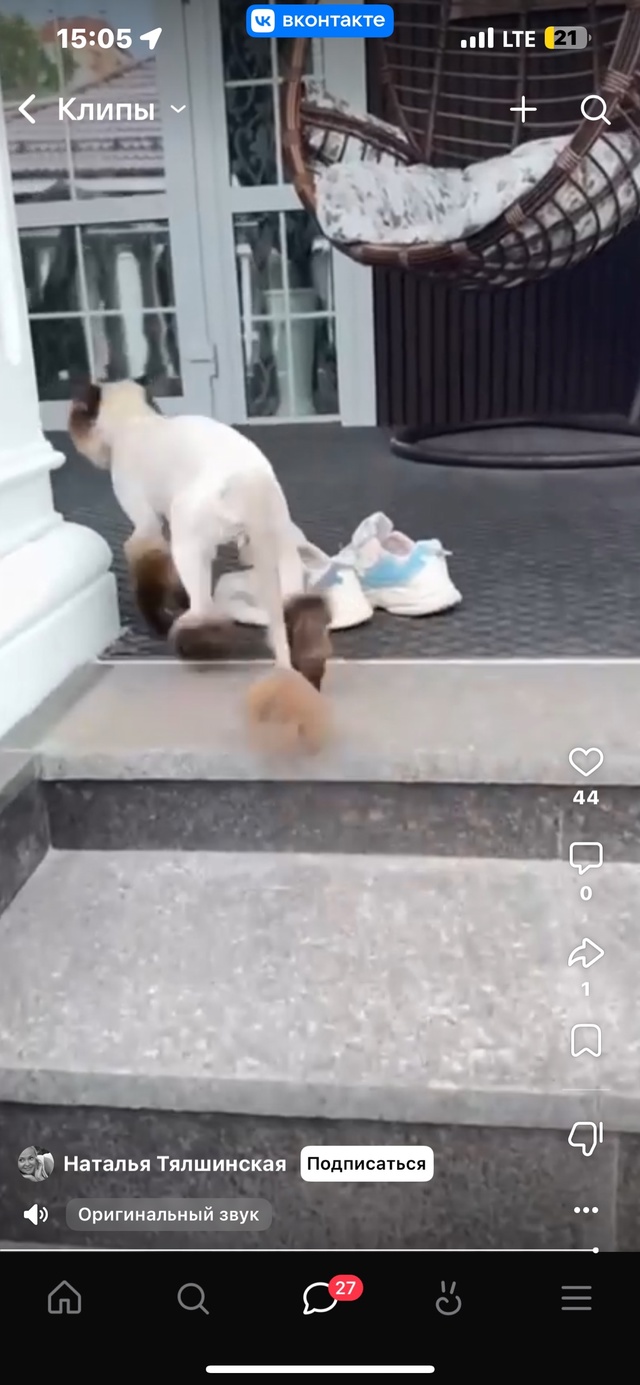 ПОТЕРЯЛСЯ КОТ!!! ПО КЛИЧКЕ СЁМА! Просьба вернуть за возн...