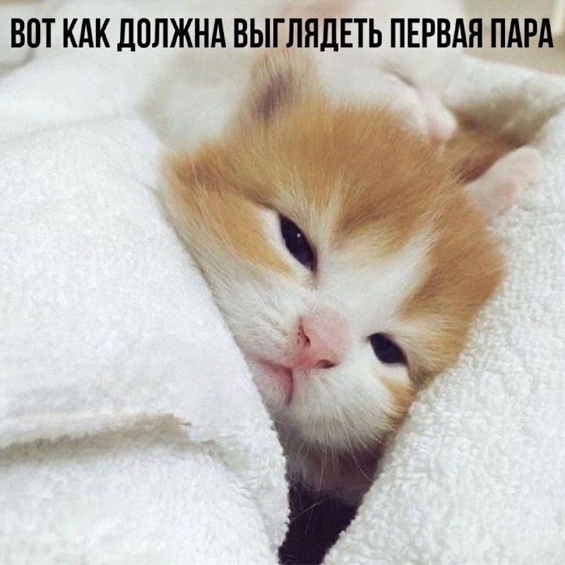 Утренняя подборочка