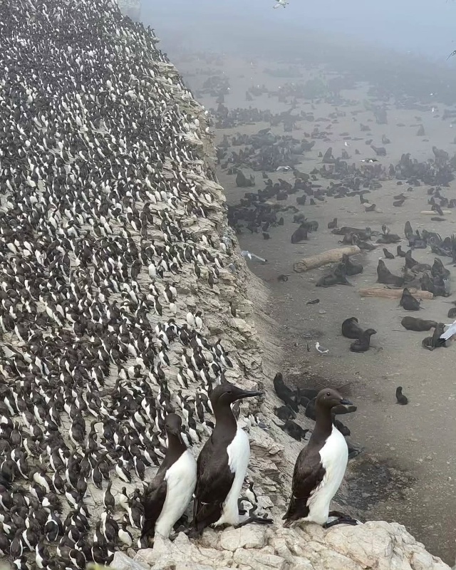 Остров Сахалин 🇷🇺