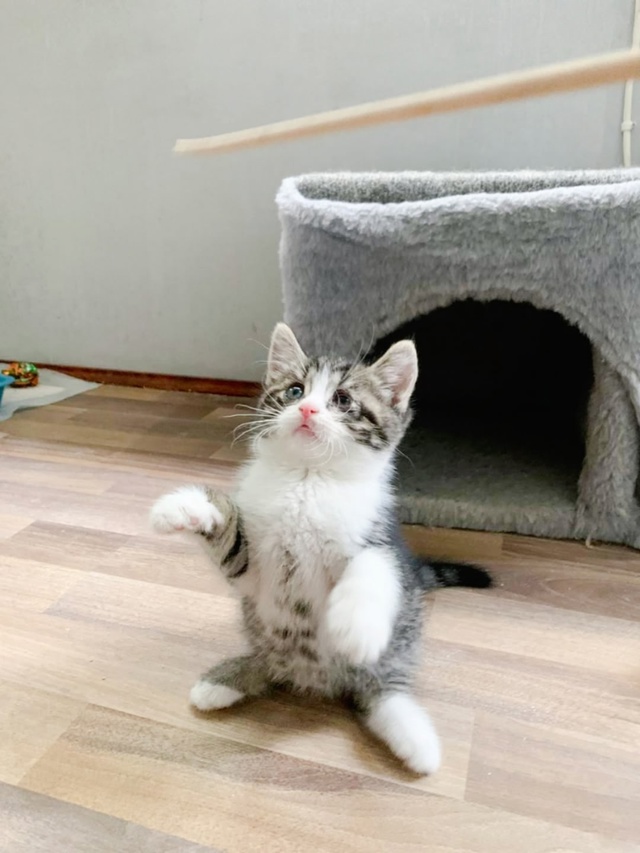 Друзья, привет от #котятасвокзальной
Со страхом и опас?...