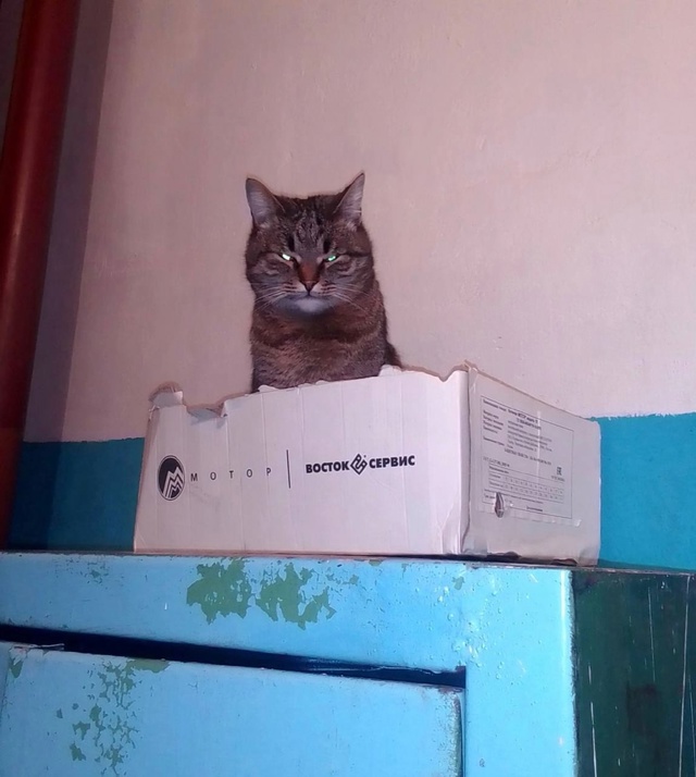 Вот этот забулдыга крайне редко с утра бывает в добром ...