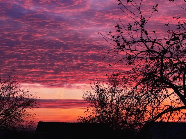 Доброго октябрьского утречка❤️🔥