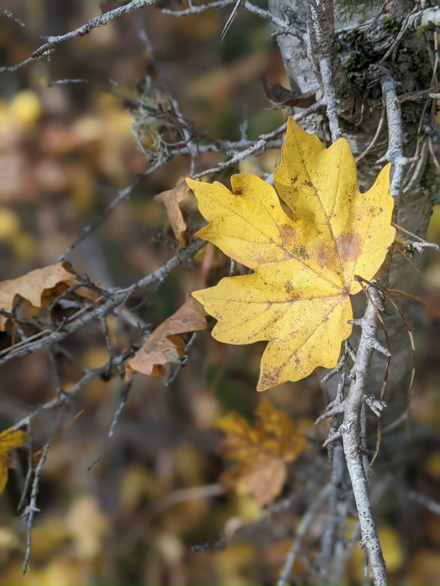 Доброго утра, Никольск❤