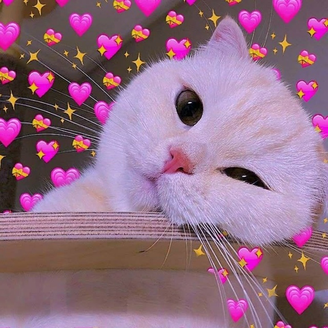 День счастливого человека отмечается сегодня.
Поздра?...