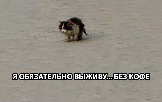 У россиян заканчиваются деньги на… кофе.
В 2025 году покупок в обычных кофейнях стало на 7,3% мень