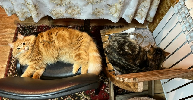 Филимон❤️и Тося ❤️