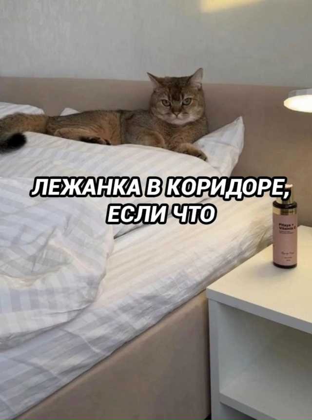 Смешная правда