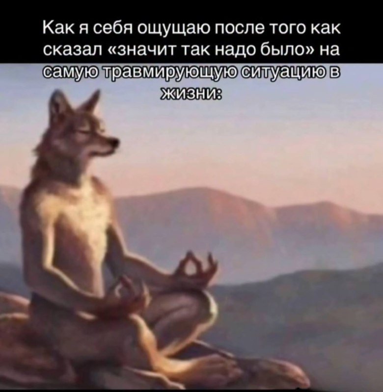 ловим дзен