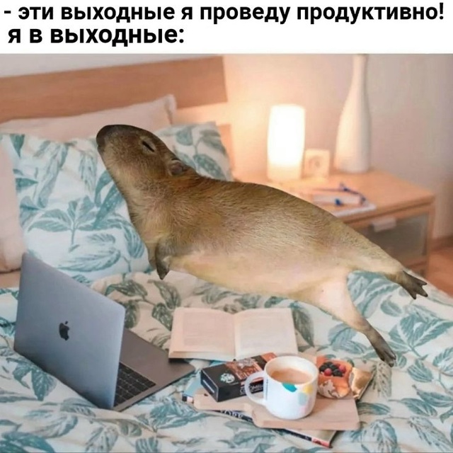 Наконец-то суббота!))