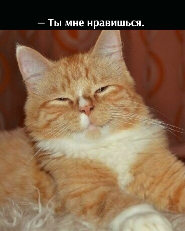 😂😂😂