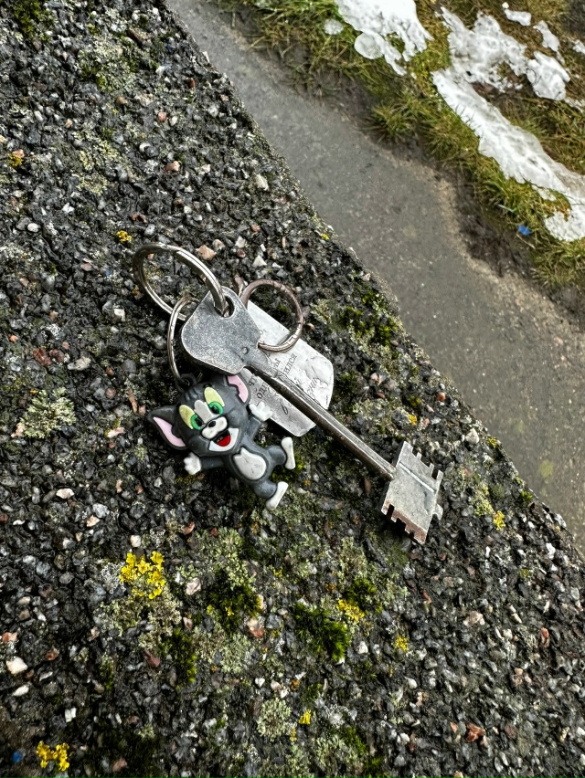 Чьи ключи? ,Никольское шоссе,2,возле ВБ