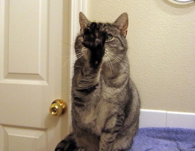 Не снимай, я не накрашена😃