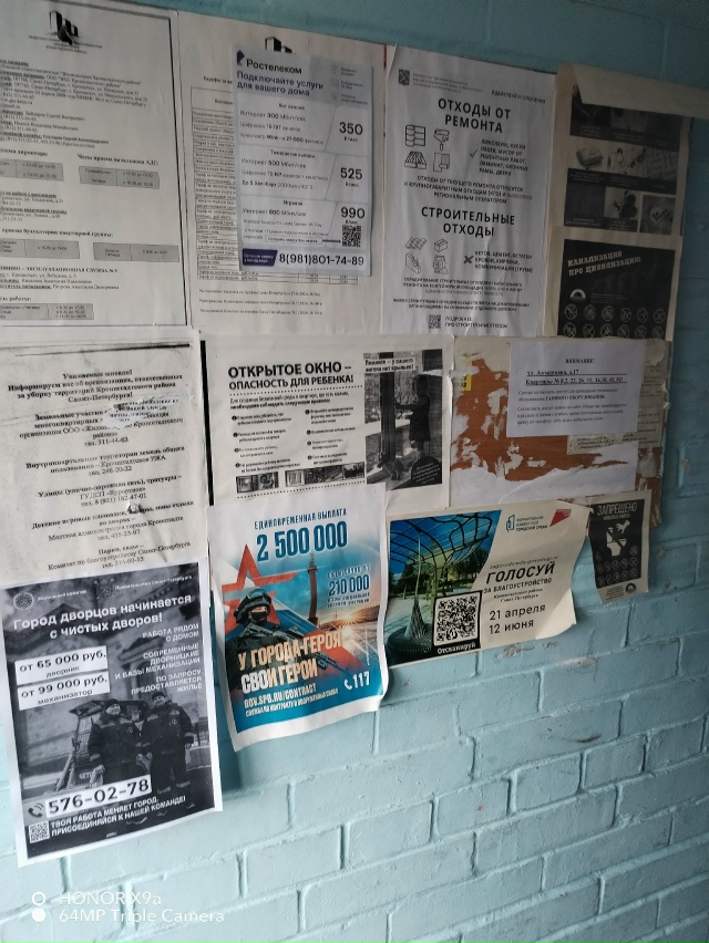 Добрый день! Опубликуйте пожалуйста. Крик души. Аммерм?...