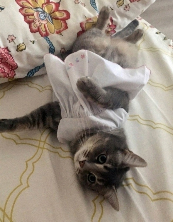 Мама была права