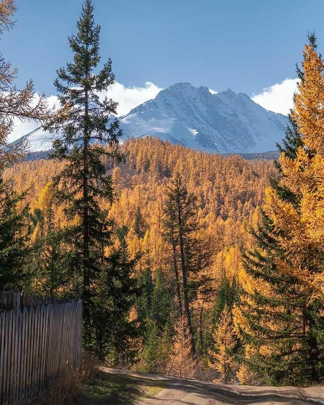 Актру, Алтай 🇷🇺