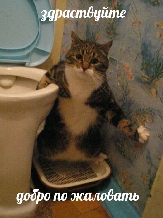 результаты конкурс!!!!!!!!
1 чемпион по большему кол-ву ре?...