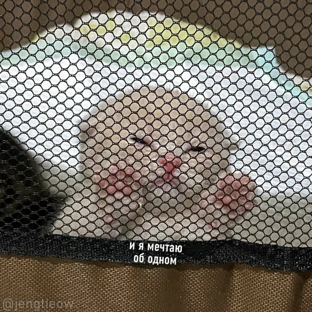 KиШ пo-котейски
