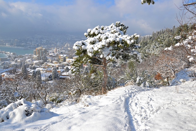 Эту сказку у нас кто-то забрал...
Теперь эти виды только ...