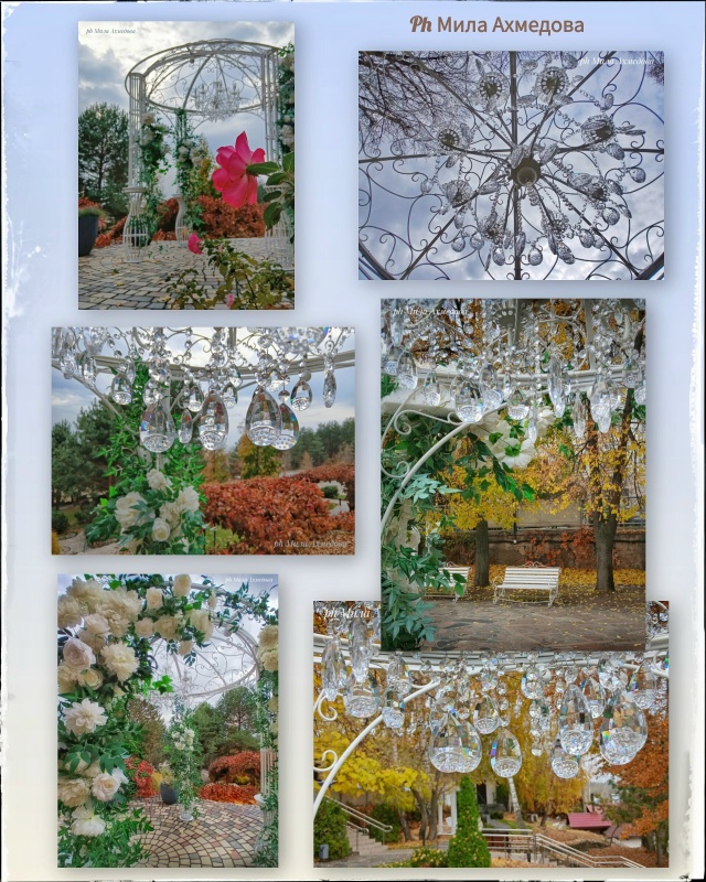 Впереди выходные, погода без дождя.🌤 Прекрасная возмо...