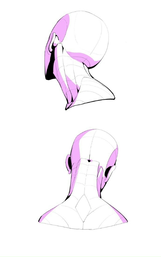 Голова
Sketch, Tutorial