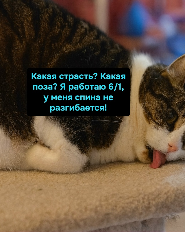 Когда работаешь 6/1, страсть выражается только в звуке х...