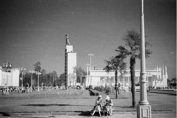 🌴 Пальмы вернулись на ВДНХ спустя почти 90 лет
Этим летом там высадили 10 финиковых пальм — дань и