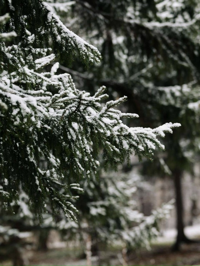 ❄️Заснеженные дворы Екатеринбурга