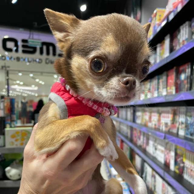 Хорошие девочки и мальчики в [club186724512|Xl Media]!✨
К нам все...