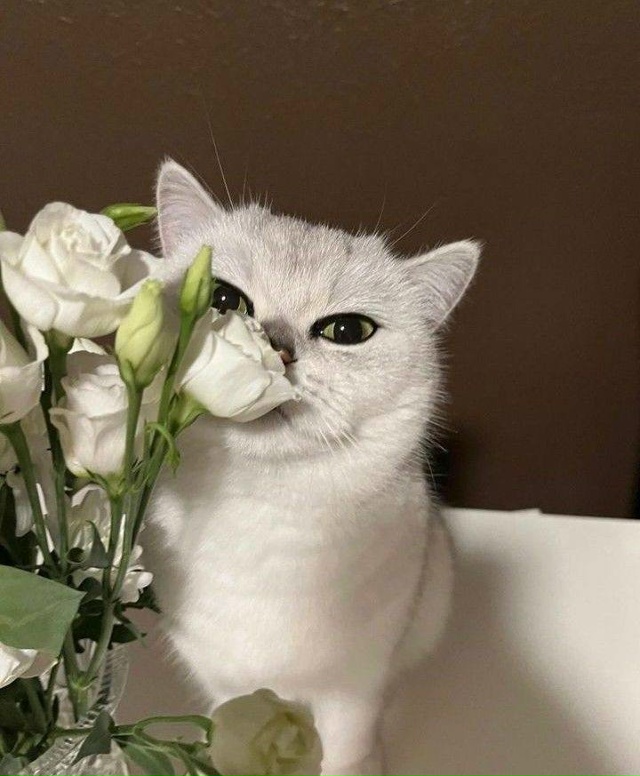 💗 Международный день девочек отмечается сегодня
Поз?...