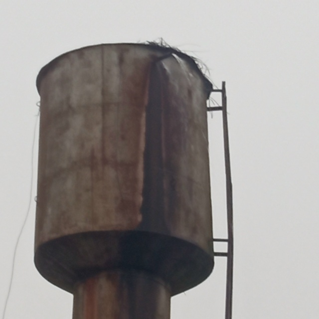 Деревня Подгороднее, задача для четырёхклассника: 10 л ?...