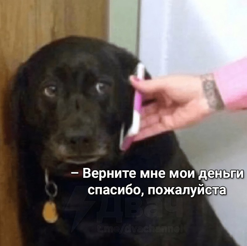 А чё так можно было что ли