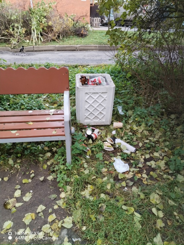 Добрый день! Опубликуйте пожалуйста. Крик души. Аммерм?...