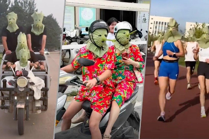 В Китае молодёжь начала использовать листья лотоса как маски от солнца.
Их надевают на голову под