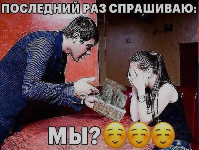 Ночная подборочка
Спать, режим