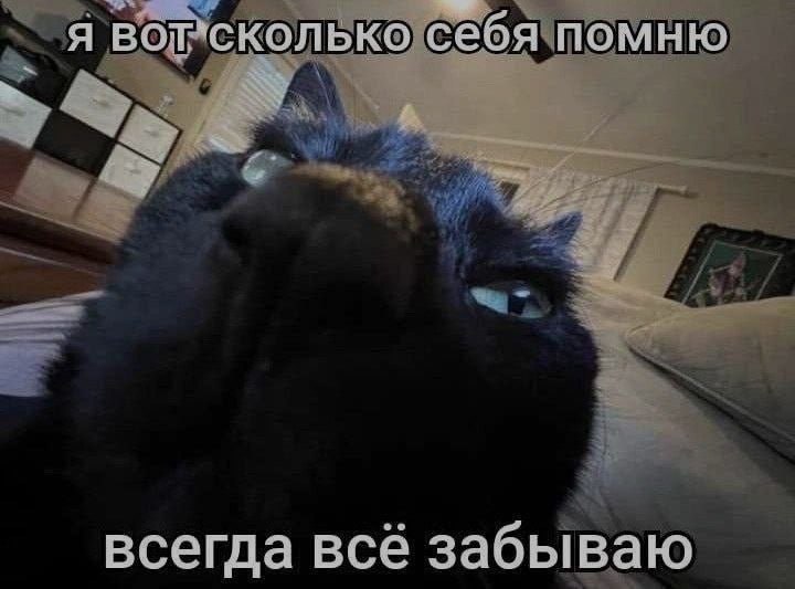 Ночная подборочка
Выходные, не спим