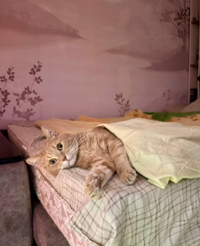 Яша на отдыхе перед отдыхом и после отдыха.