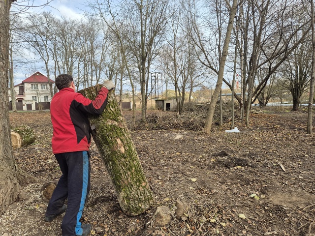 Работы по благоустройству придомовой территории прод?...