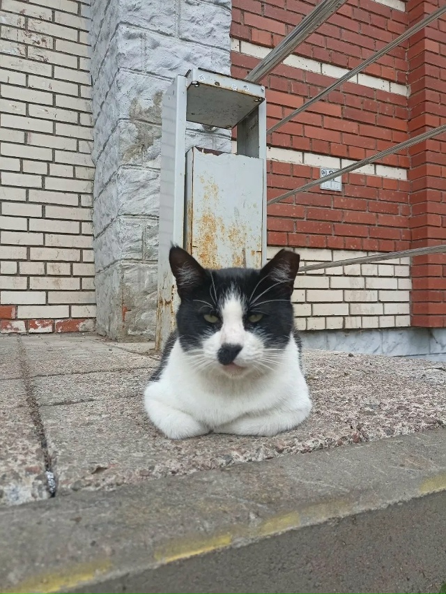 Какие же милые сотрудники 