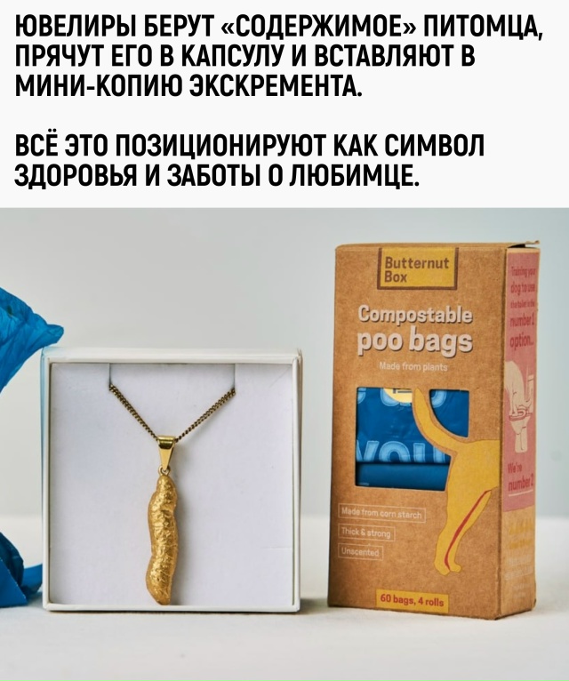 Раньше хозяева гордились родословной питомца. Теперь ?...