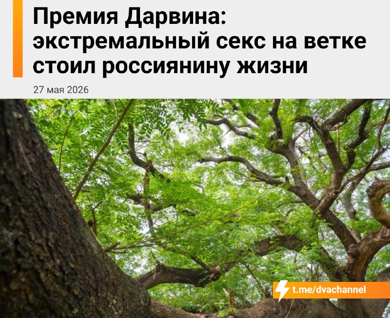 В Москве парень погиб во время экстремального секса на… дереве
Парочка решила устроить жёсткий экст