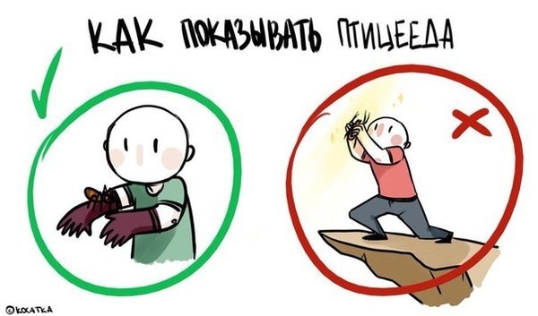 Основные правила ухода за павучками