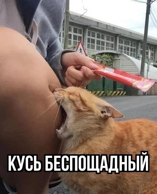 Последний надо назвать: наркоманский кусь
