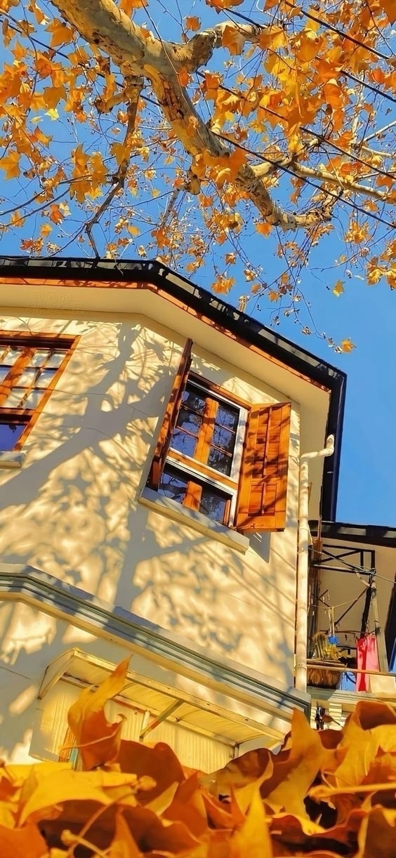 Я не могу позволить себе тратить впустую такую драгоце...