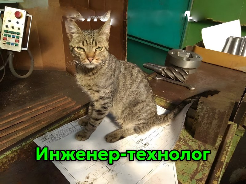 Сегодня отмечается День трудяги
Узнал себя?
