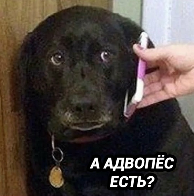 НУ это умышленная подстава