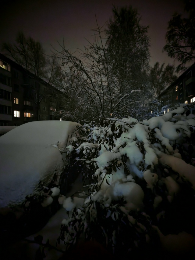 Κaдpы cкaзoчнoгo Ηoвocибиpcкa oт нaшeгo пoдпиcчикa 😻